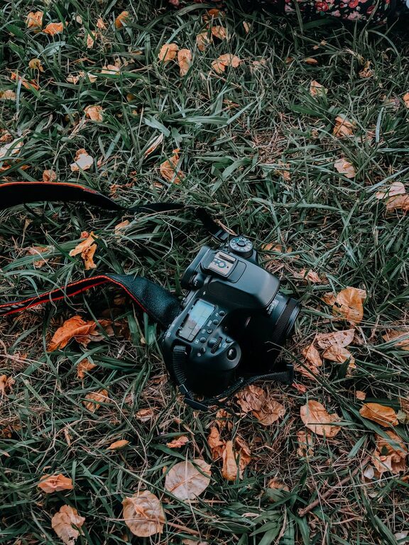 Jak zacząć przygodę z fotografią – podstawowe wskazówki dla początkujących